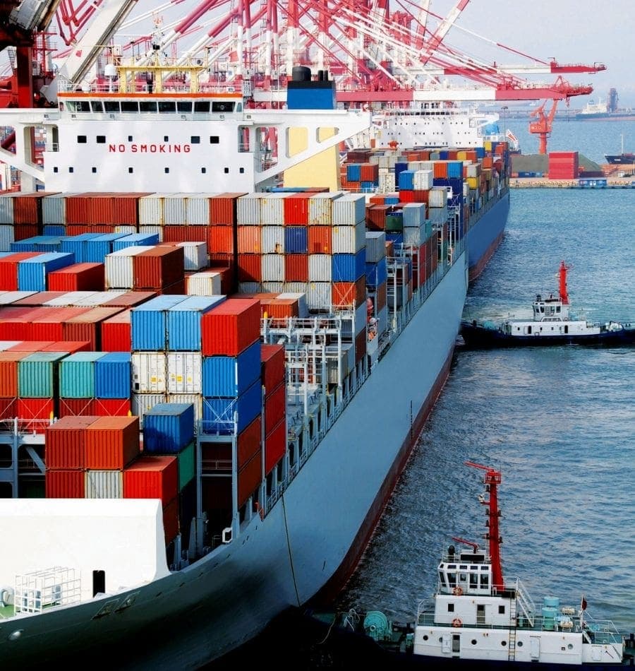 Agri Export Products