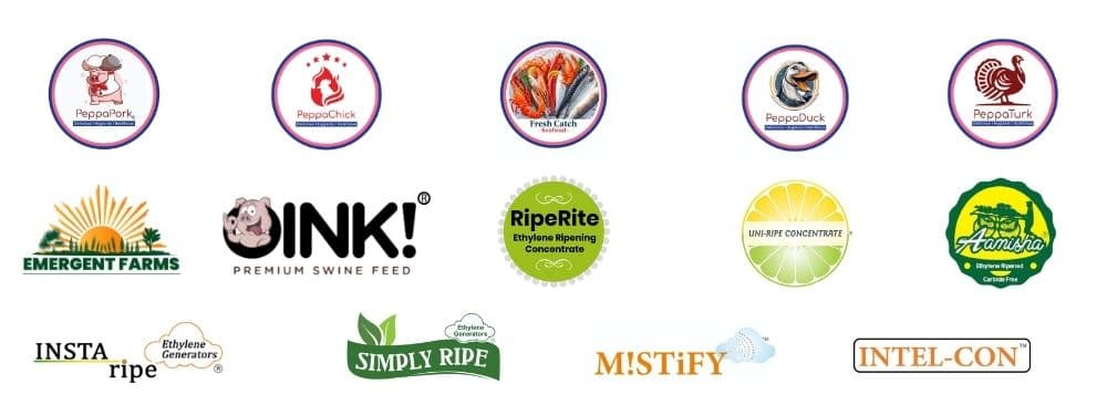 Aamisha Foods Our Brands